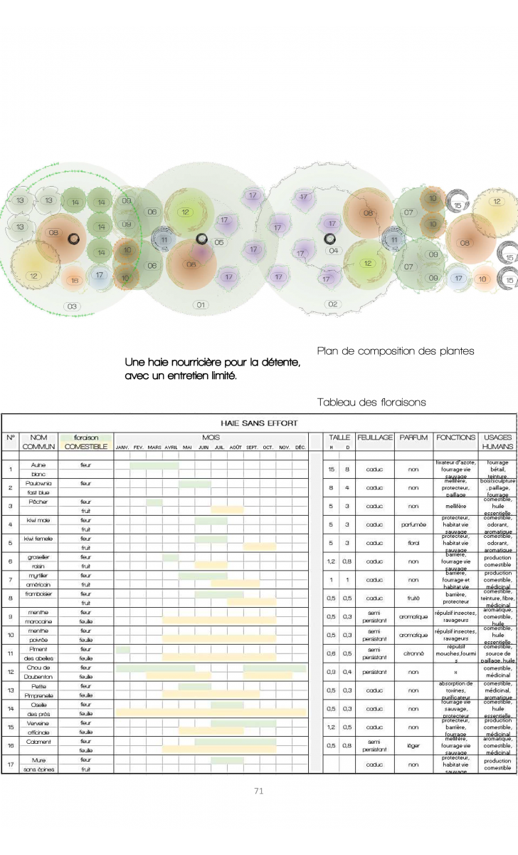 exemple d'une des compositions de plantes