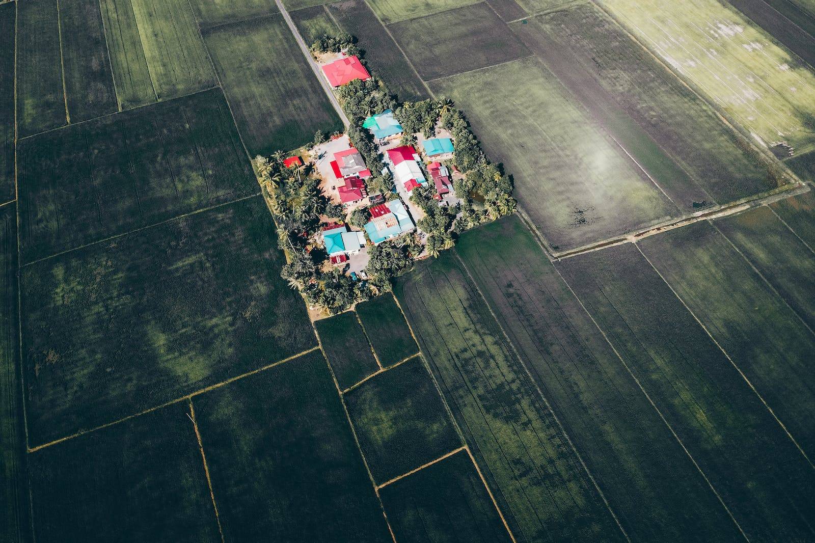 division parcellaire