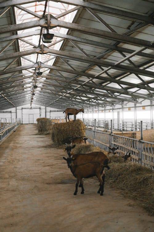 Projet de construction dans le neuf et rénovation pour un hangar agricole à Sélestat dans le Centre-Alsace