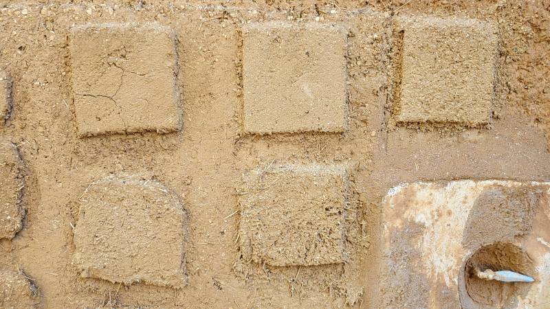 Compétence Pro-Paille