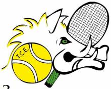 Sport Tennis Ebersheim (67600) Tennis Club Ebersheim